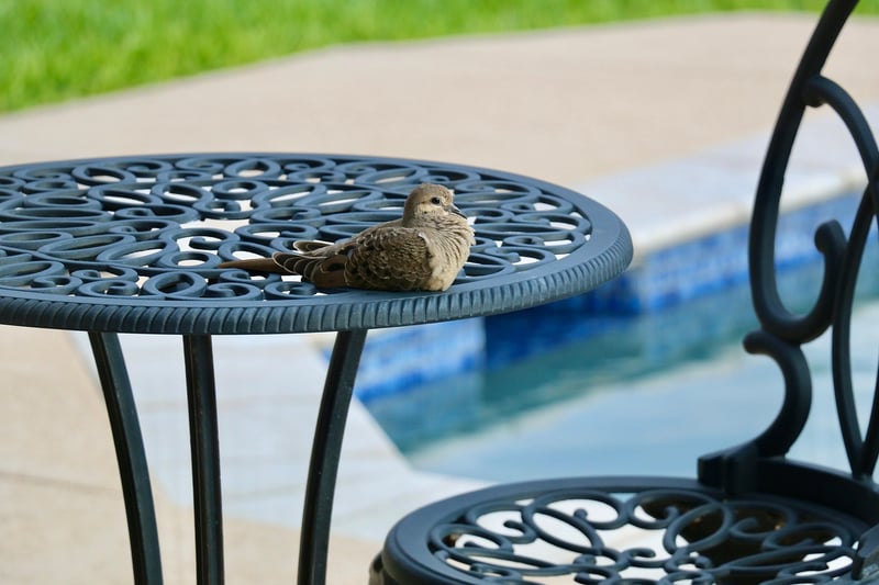 Recycled patio furniture
